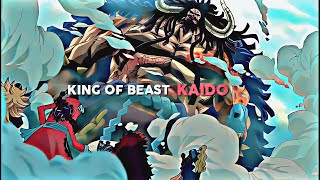 Kaido first appearance edit [upl. by Hgieloj]