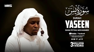 Surah Yaseen سورة يٰسٓ  Beautiful Quran Recitation  Imam Feysal Mohammed [upl. by Mann754]