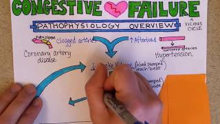 Congestive Heart Failure Pathophysiology [upl. by Nelia]