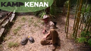 Ultimate Marginated Tortoise Care Tutorial kamp kenan [upl. by Eeroc712]