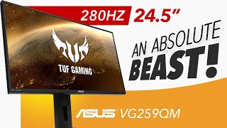 ASUS TUF VG259QM  An ABSOLUTE MONSTER  Detailed Review [upl. by Ahsinrats185]