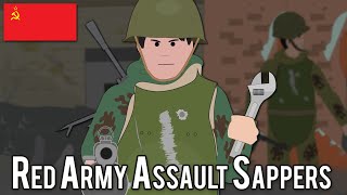 Red Army Assault Sappers World War II [upl. by Ahsoj]